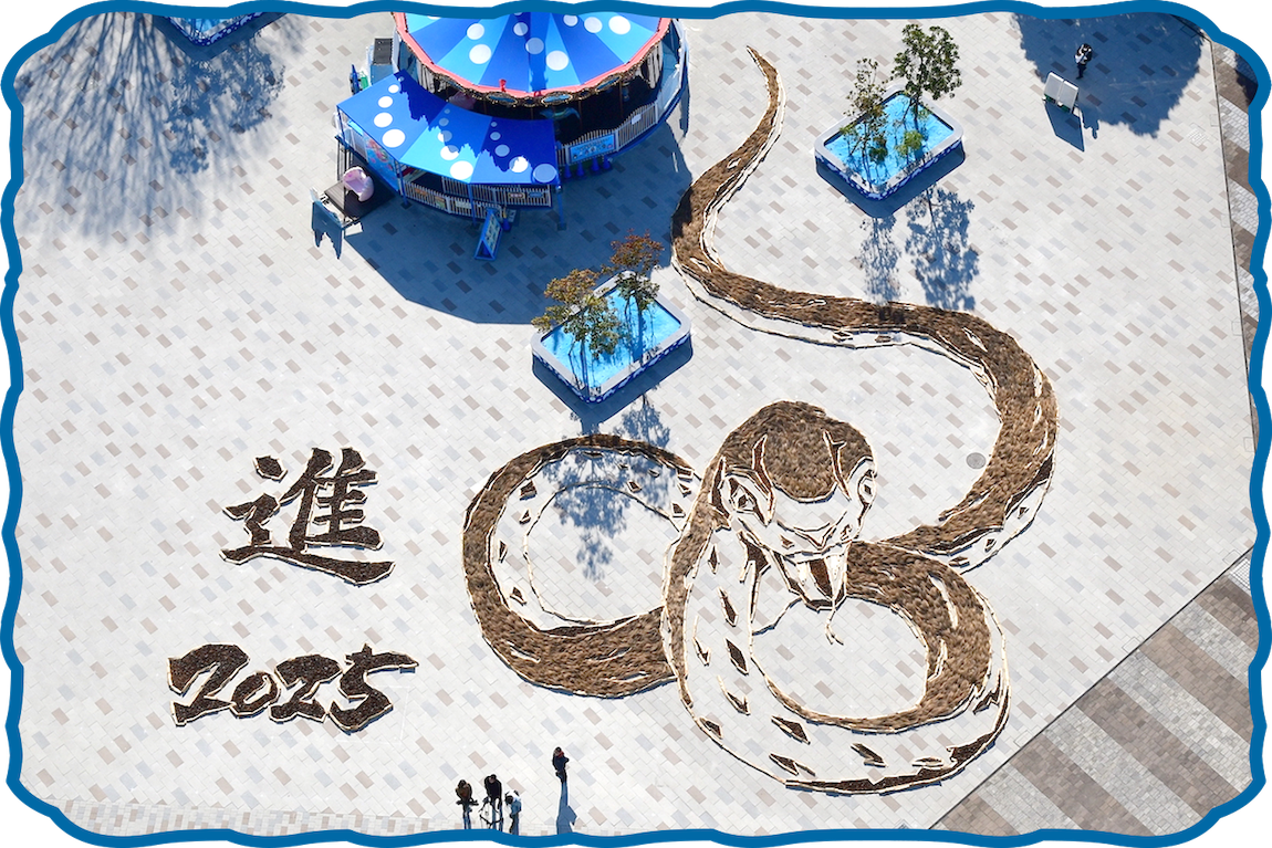 2024-2025文字なし