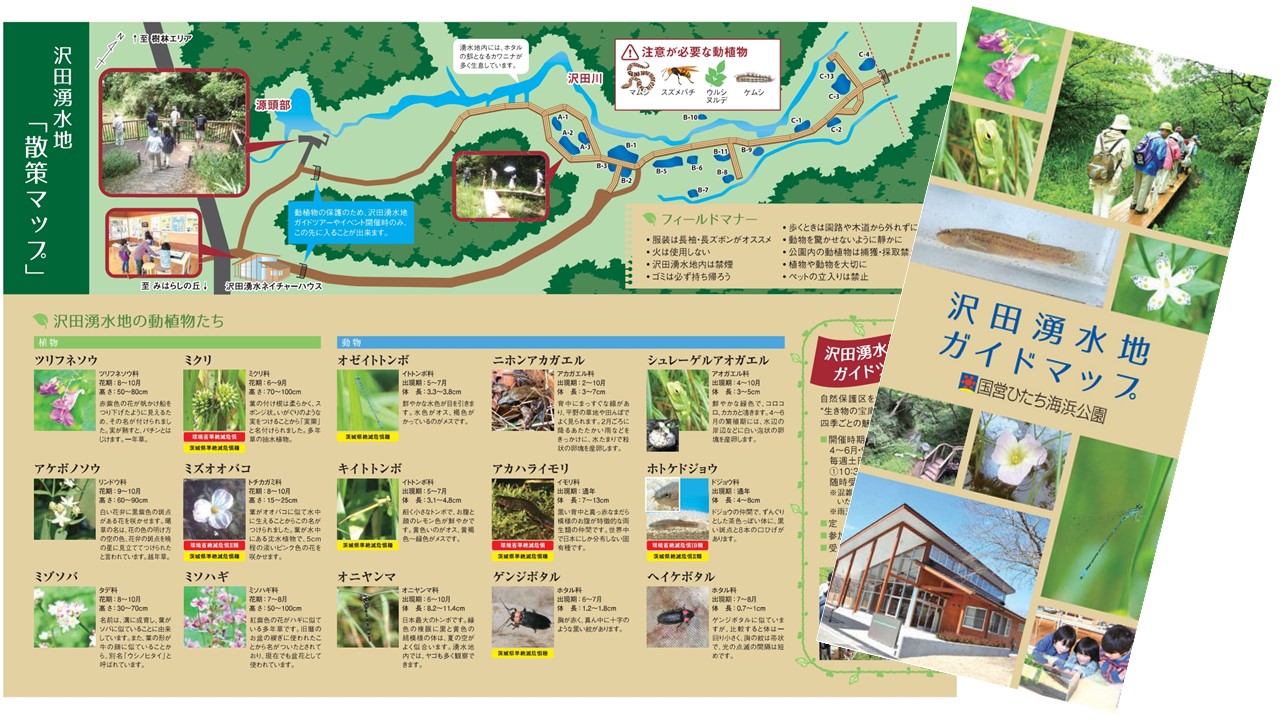 沢田湧水ガイドマップ【表紙】