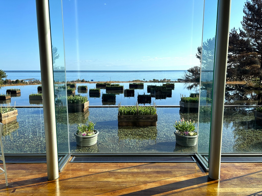 アイスチューリップに関するページ