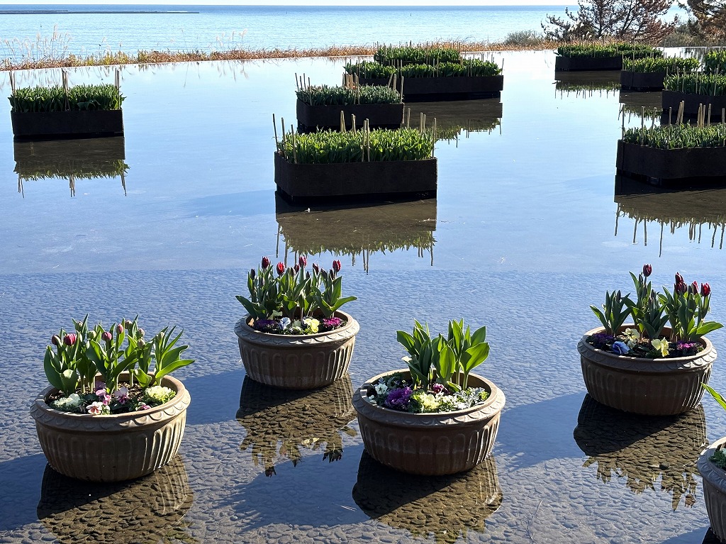 グラスハウスアイスチューリップ２