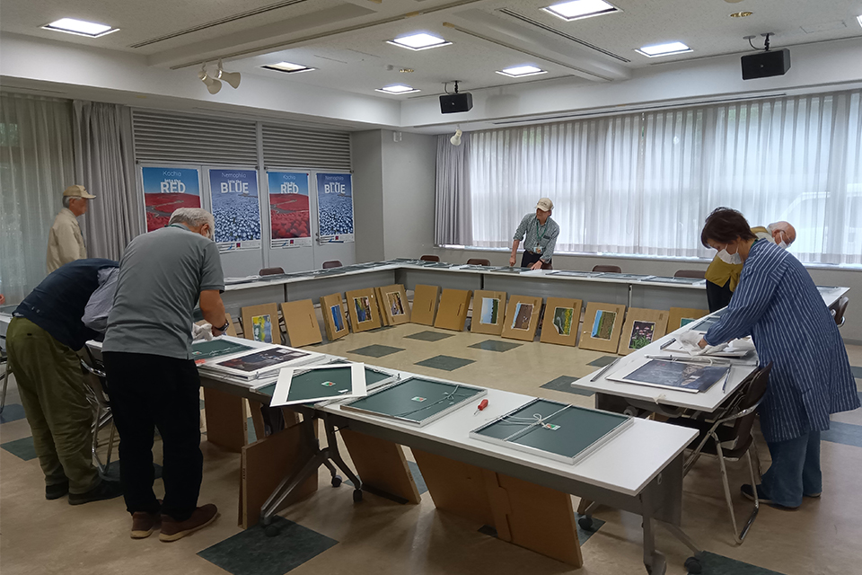 フォトパートナー