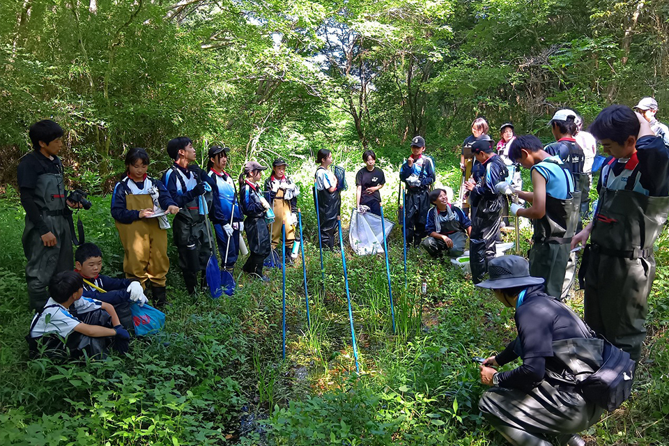 登録パートナー/スクールパートナー