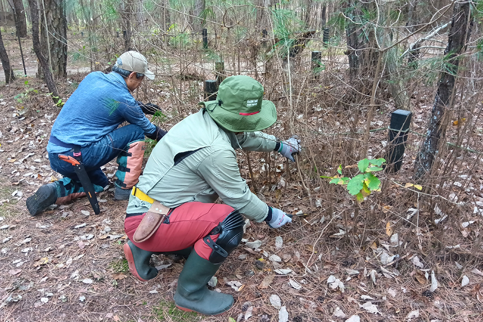 里山パートナーR8_02