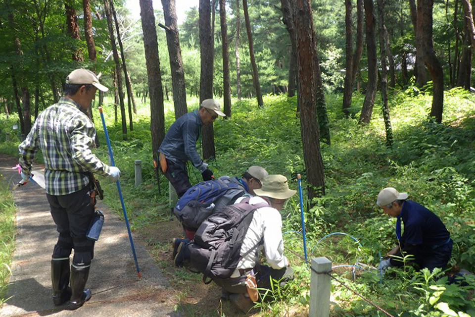 里山パートナーR8_04