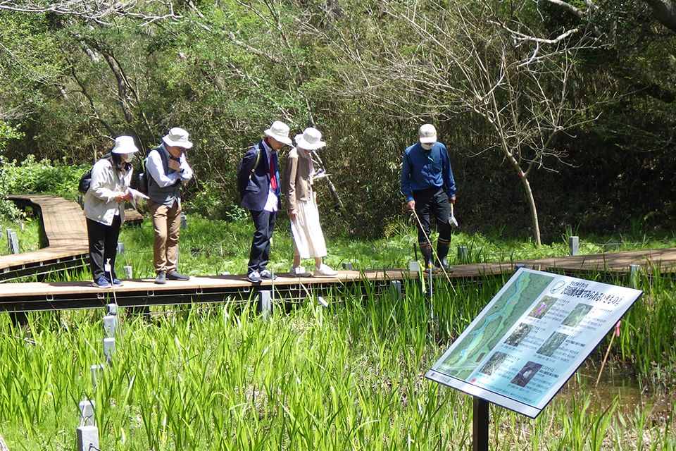 沢田湧水地パートナーR8_03