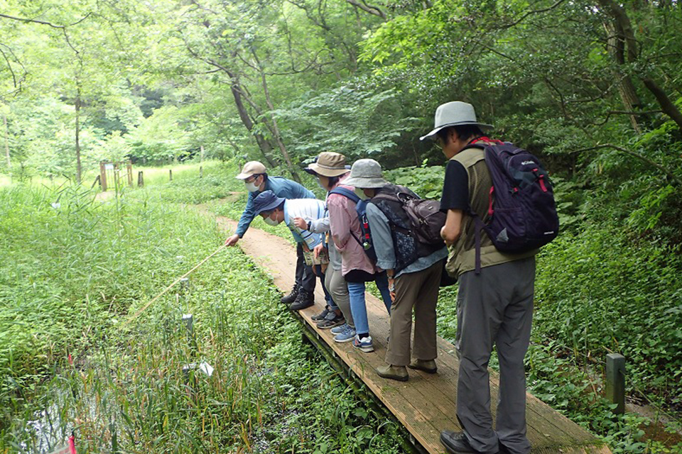 沢田湧水地パートナーR8_04