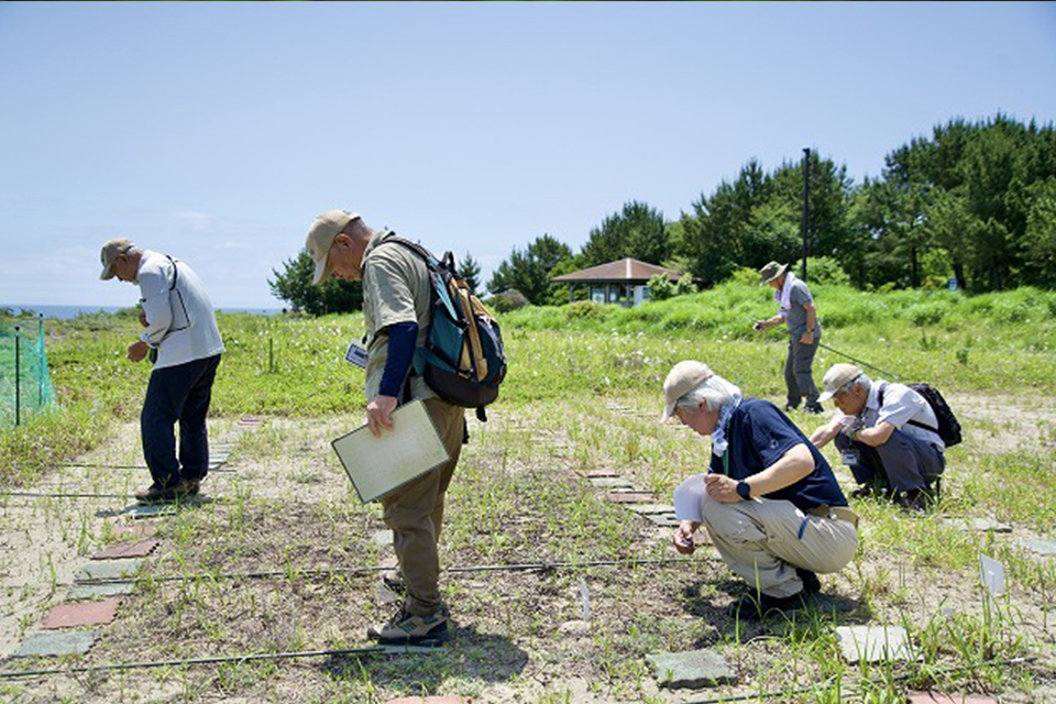 野生植物パートナーR08_03