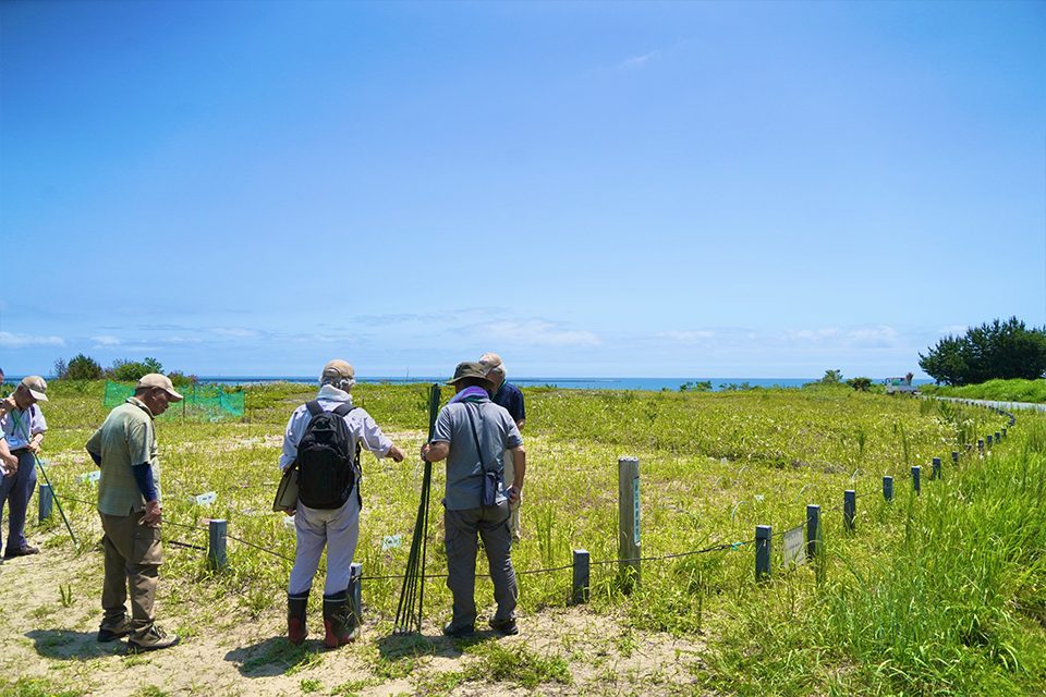 野生植物パートナーR08_04