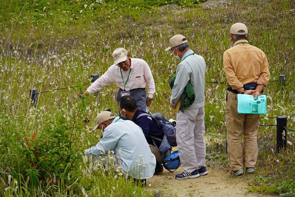 野生植物パートナーR08_05