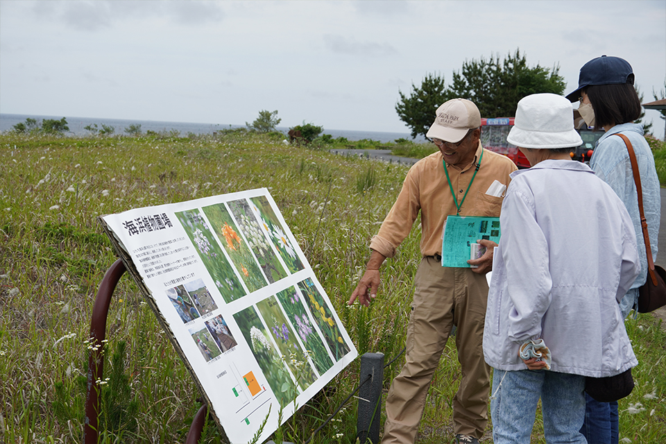 名称:野生植物パートナーR08_06
横サイズ:314px
縦サイズ:209px 野生植物パートナーR08_06