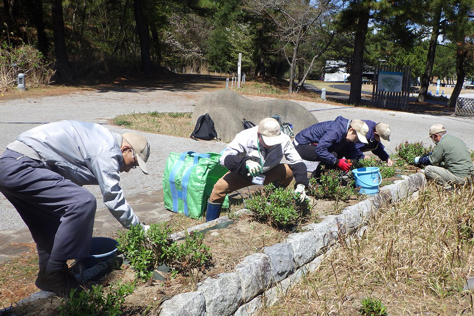 名称:野生植物パートナーR08_07
横サイズ:314px
縦サイズ:209px 野生植物パートナーR08_07