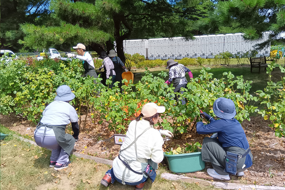 ローズパートナーR8_02