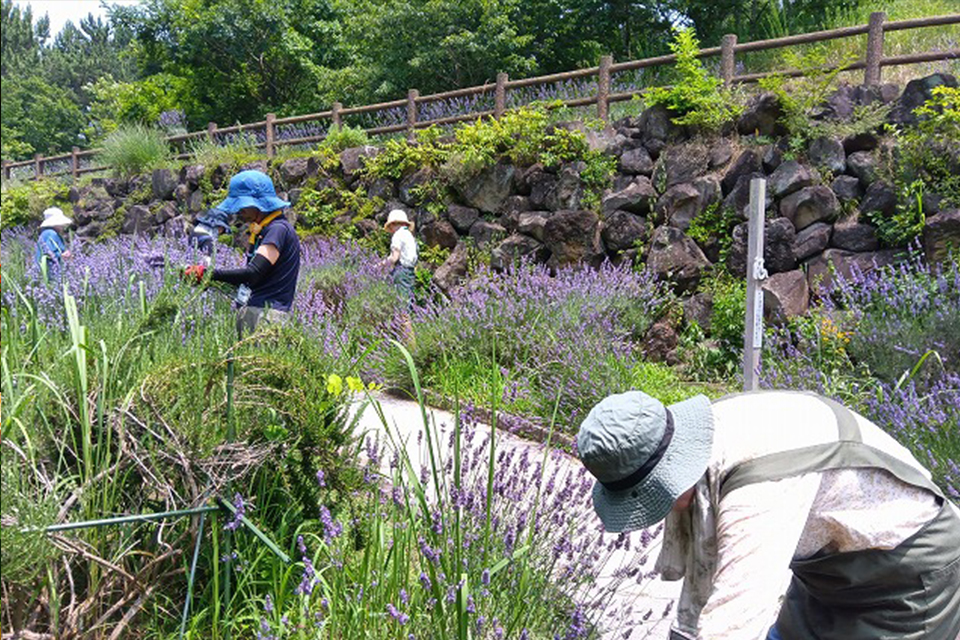 ハーブパートナーR8_01