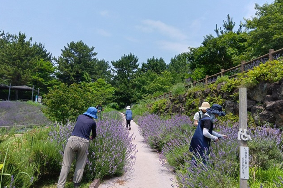 ハーブパートナーR8_02