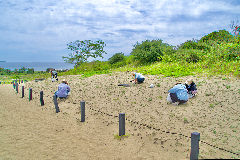 砂丘美化パートナーR8_01