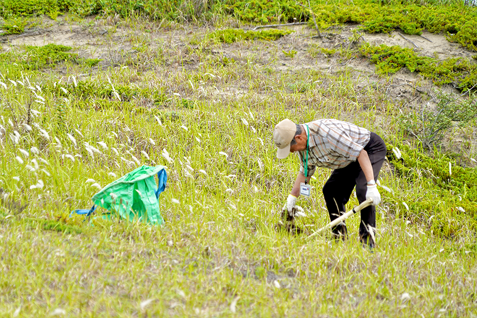 砂丘美化パートナーR8_02