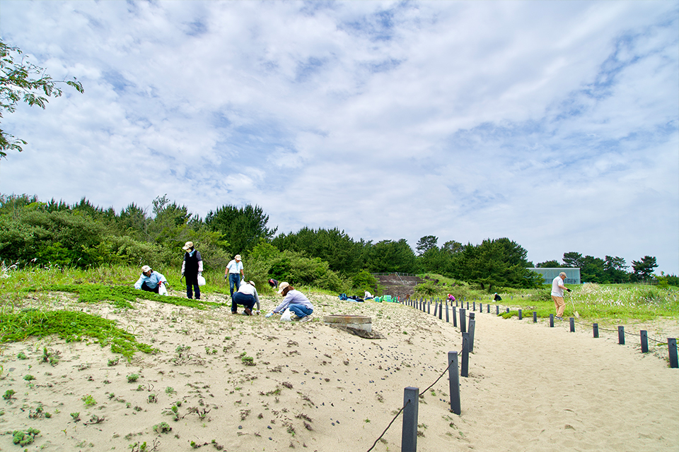 砂丘美化パートナーR8_03