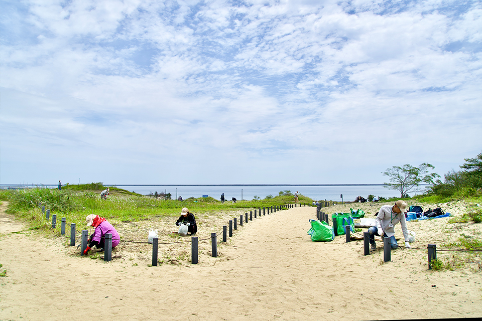 砂丘美化パートナーR8_04