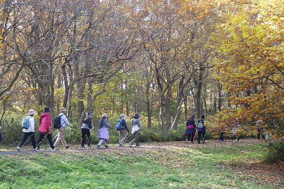 ノルディックウォーキングパートナーR8_08