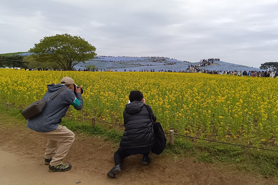 フォトパートナーR8_01