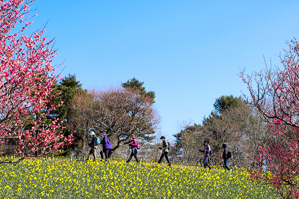 フォトパートナーR8_05