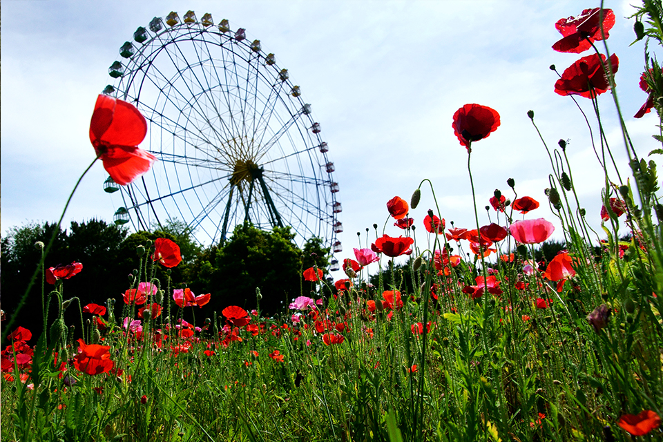 フォトパートナーR8_07