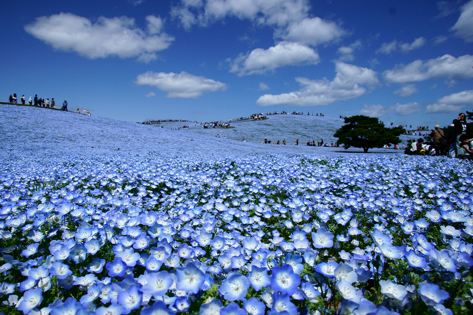 フォトパートナーR8_08