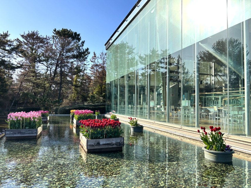 アイスチューリップに関するページ