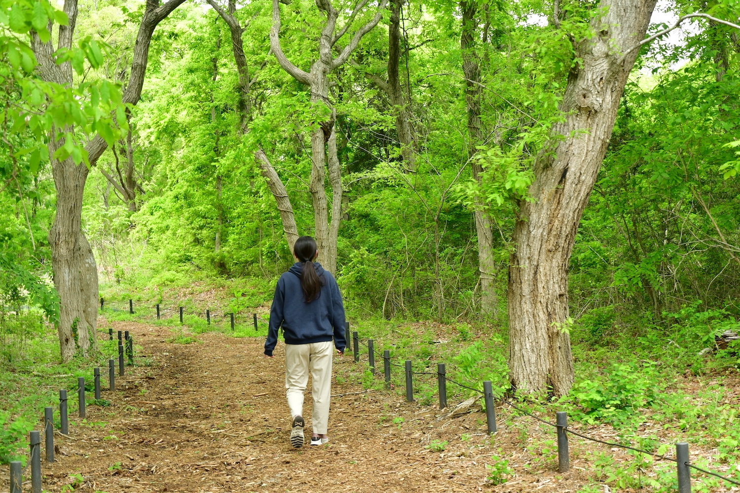 森の中で深呼吸リサイズ