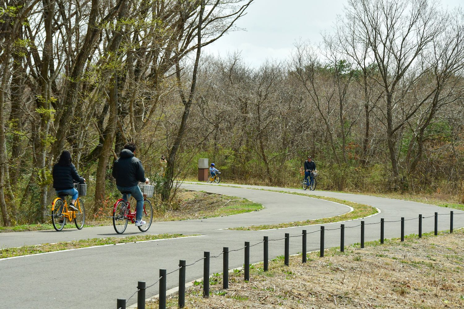 サイクリングリサイズ