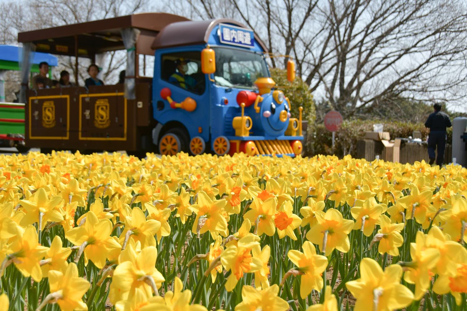 スイセンと園内バス