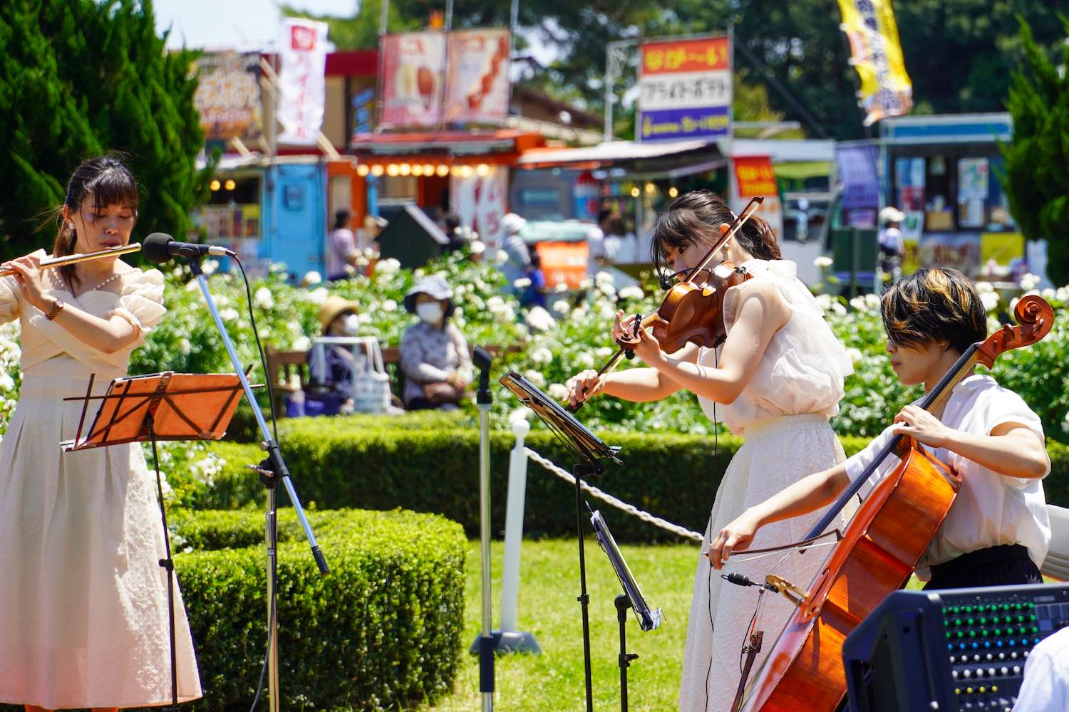 ひたちローズデイの様子