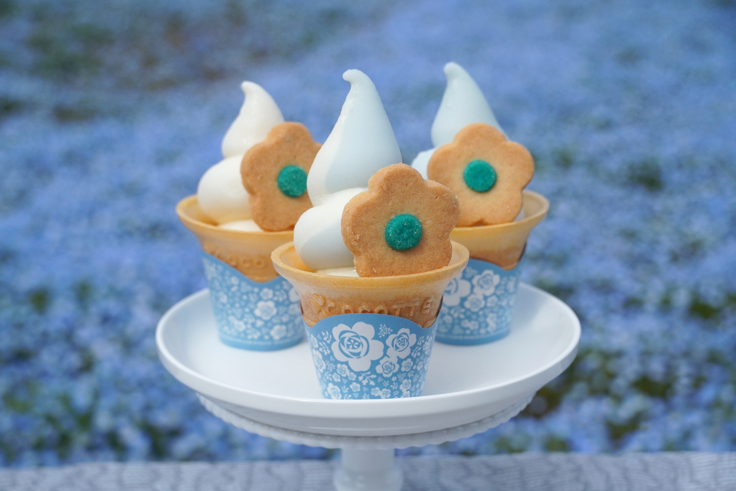 ネモフィラブルーソフト02