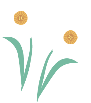 スイセンイラスト01