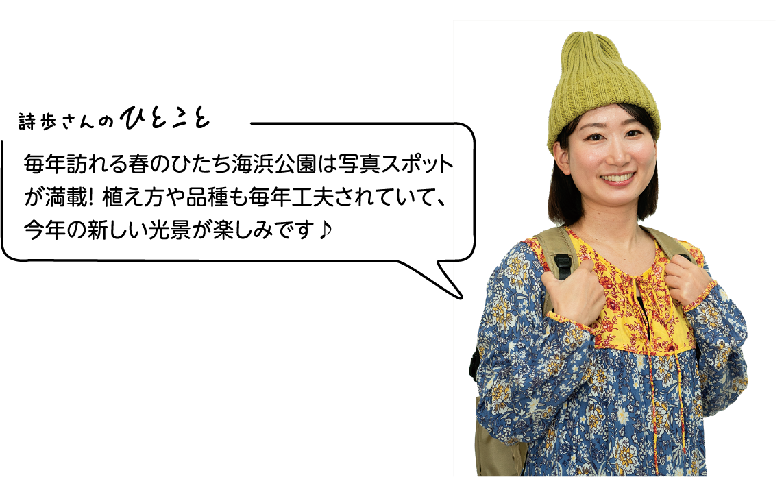 詩歩さんのひとこと「毎年訪れる春のひたち海浜公園は写真スポットが満載!植え方や品種も毎年工夫されていて、今年の新しい光景が楽しみです」