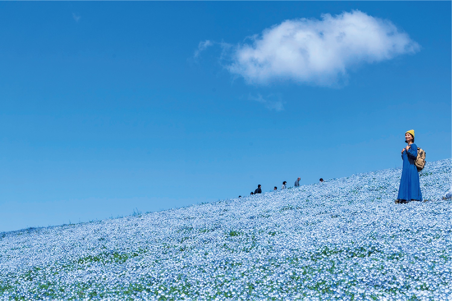 ポイントの写真
