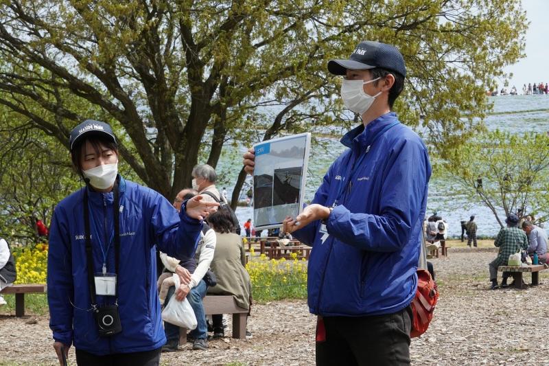 ネモフィラガイド