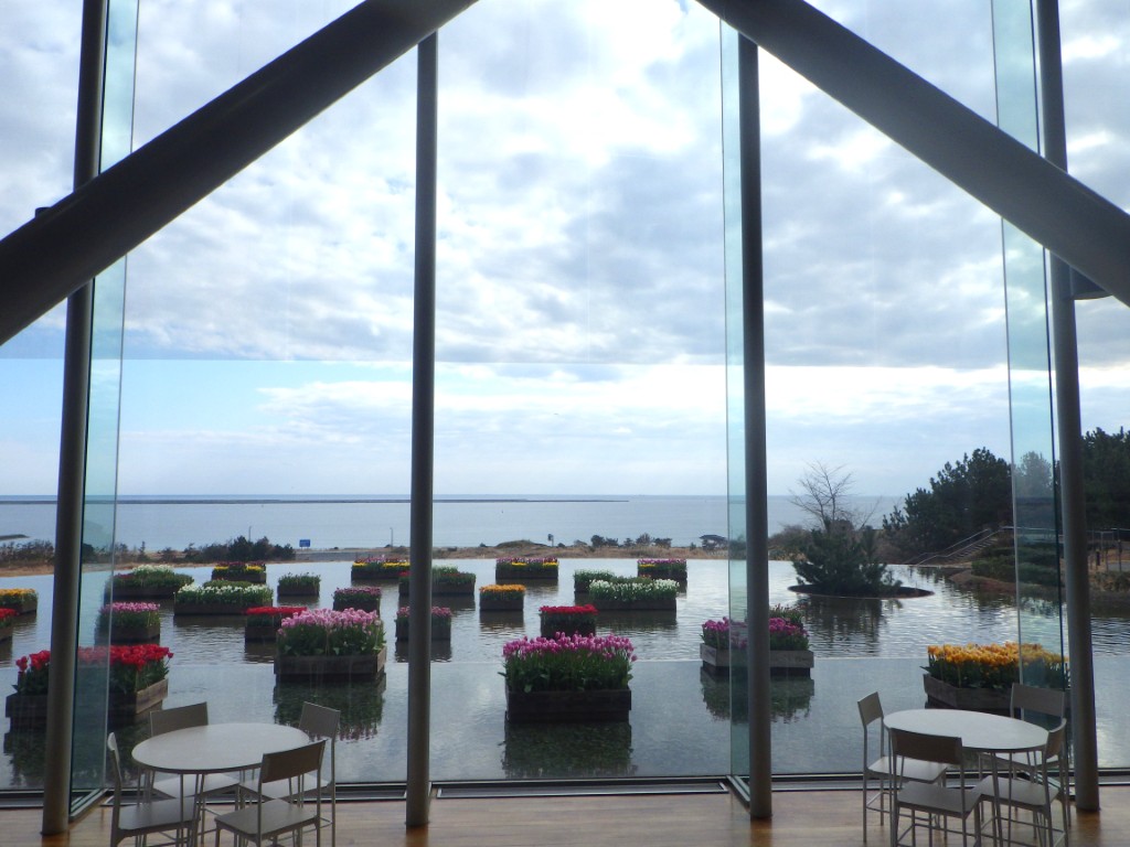 20260206アイスチューリップ2