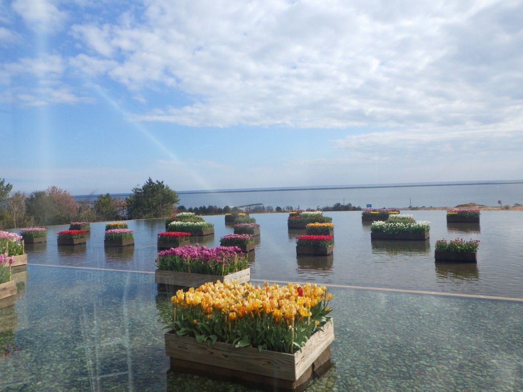 20260206アイスチューリップ3