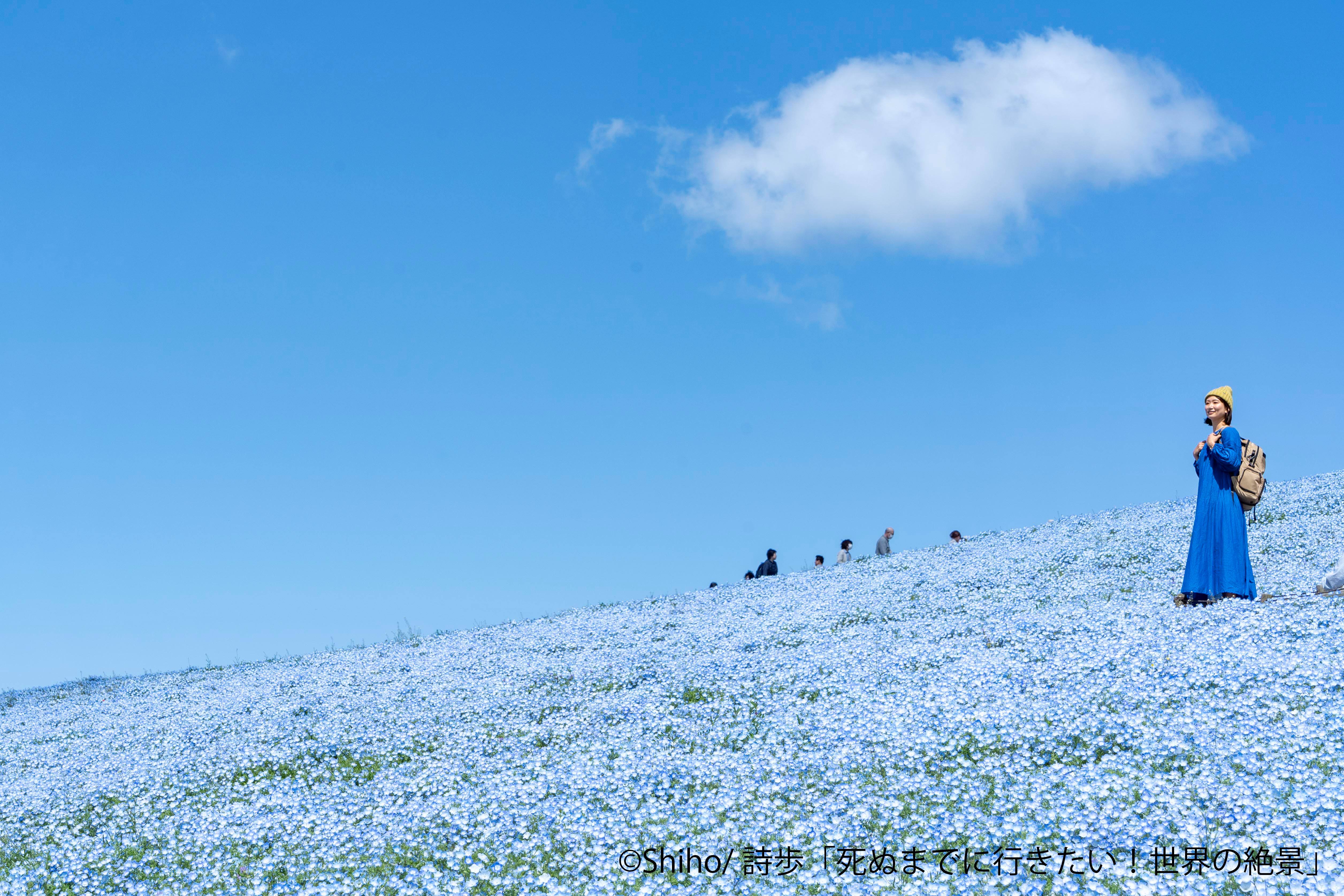 ポイントの写真