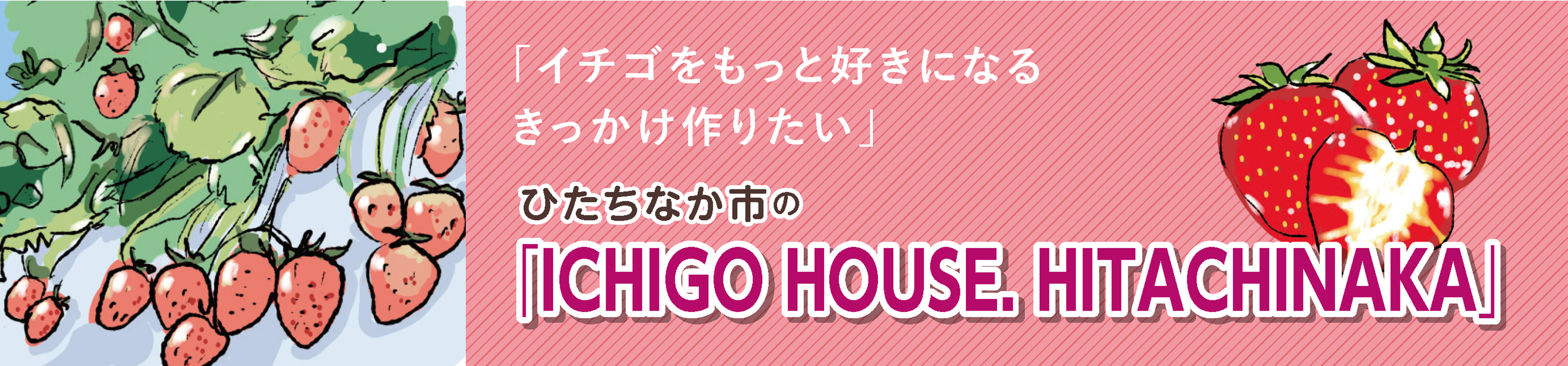苺ハウス ひたちなか