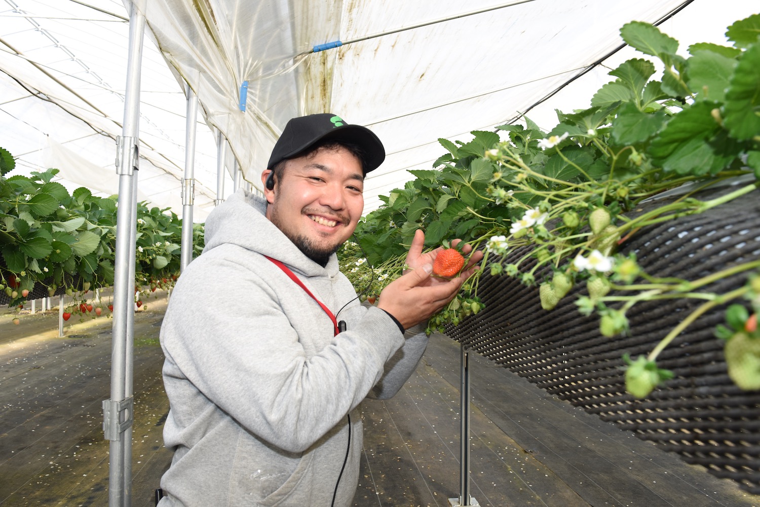 ICHIGO HOUSE. HITACHINAKA01