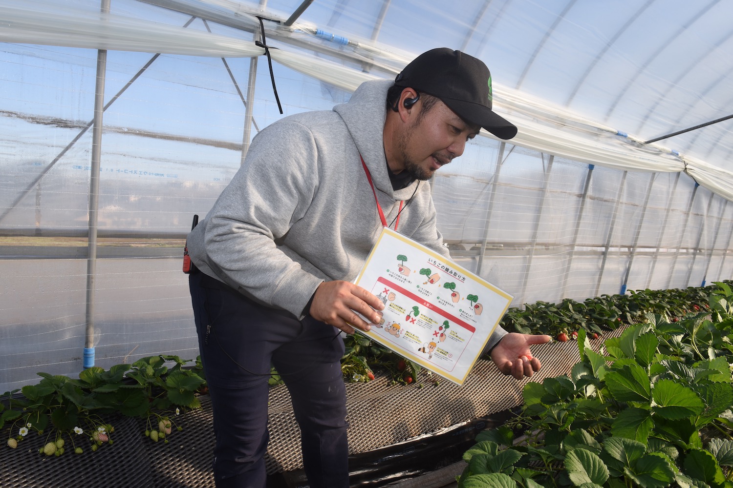 ICHIGO HOUSE. HITACHINAKA05