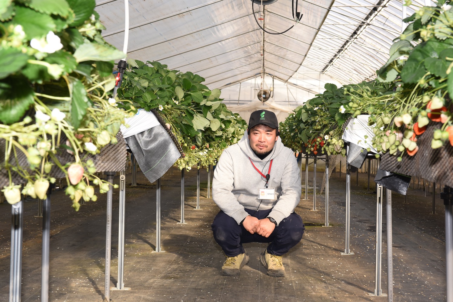 ICHIGO HOUSE. HITACHINAKA06