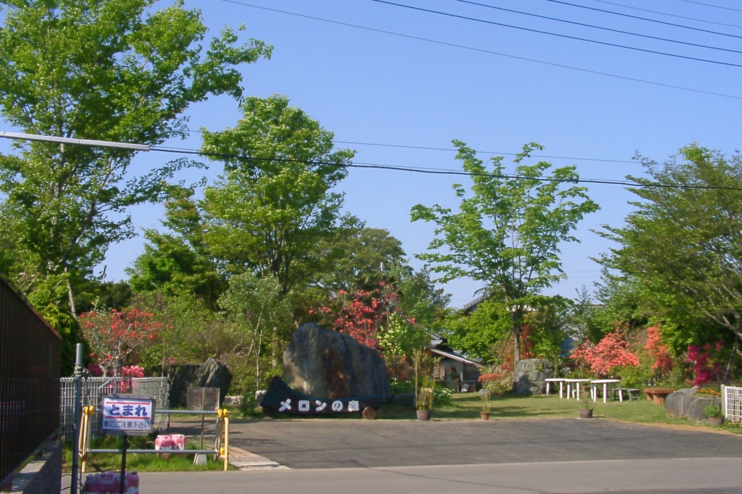 メロンの森05
