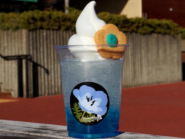 ブルーフロート