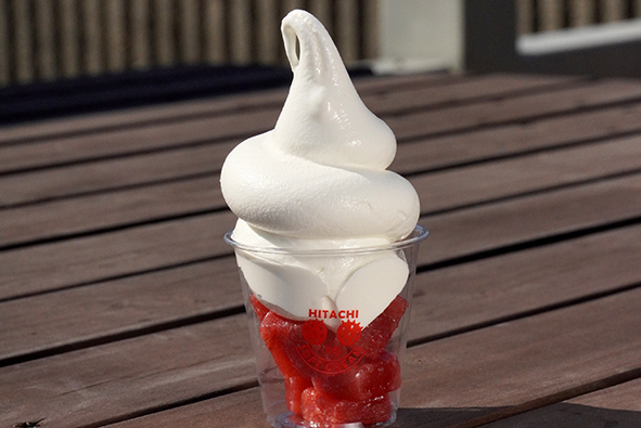 ひたちイチゴTOソフトクリーム_丸
