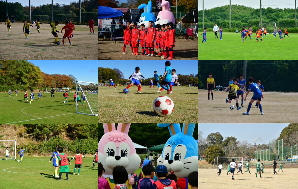 海・花ちびっこサッカー大会（説明）