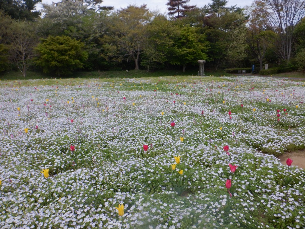 泉の広場春２