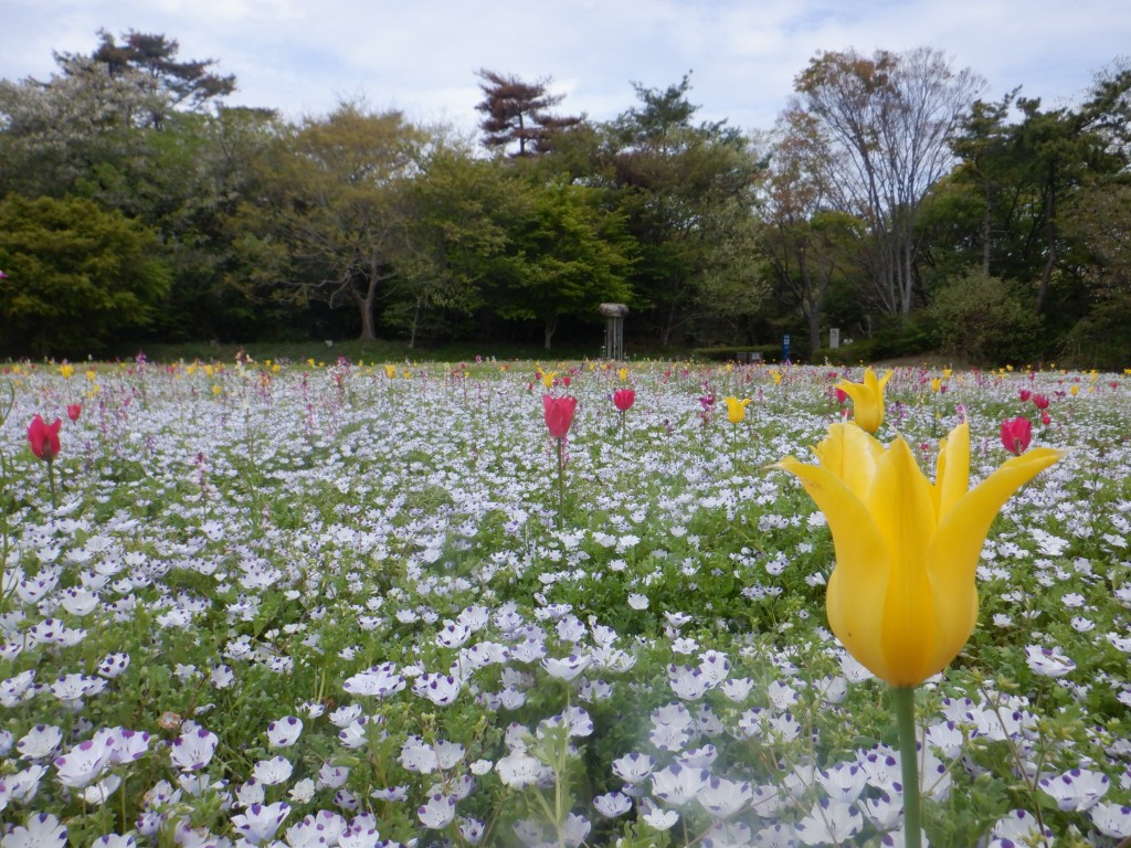 泉の広場春１